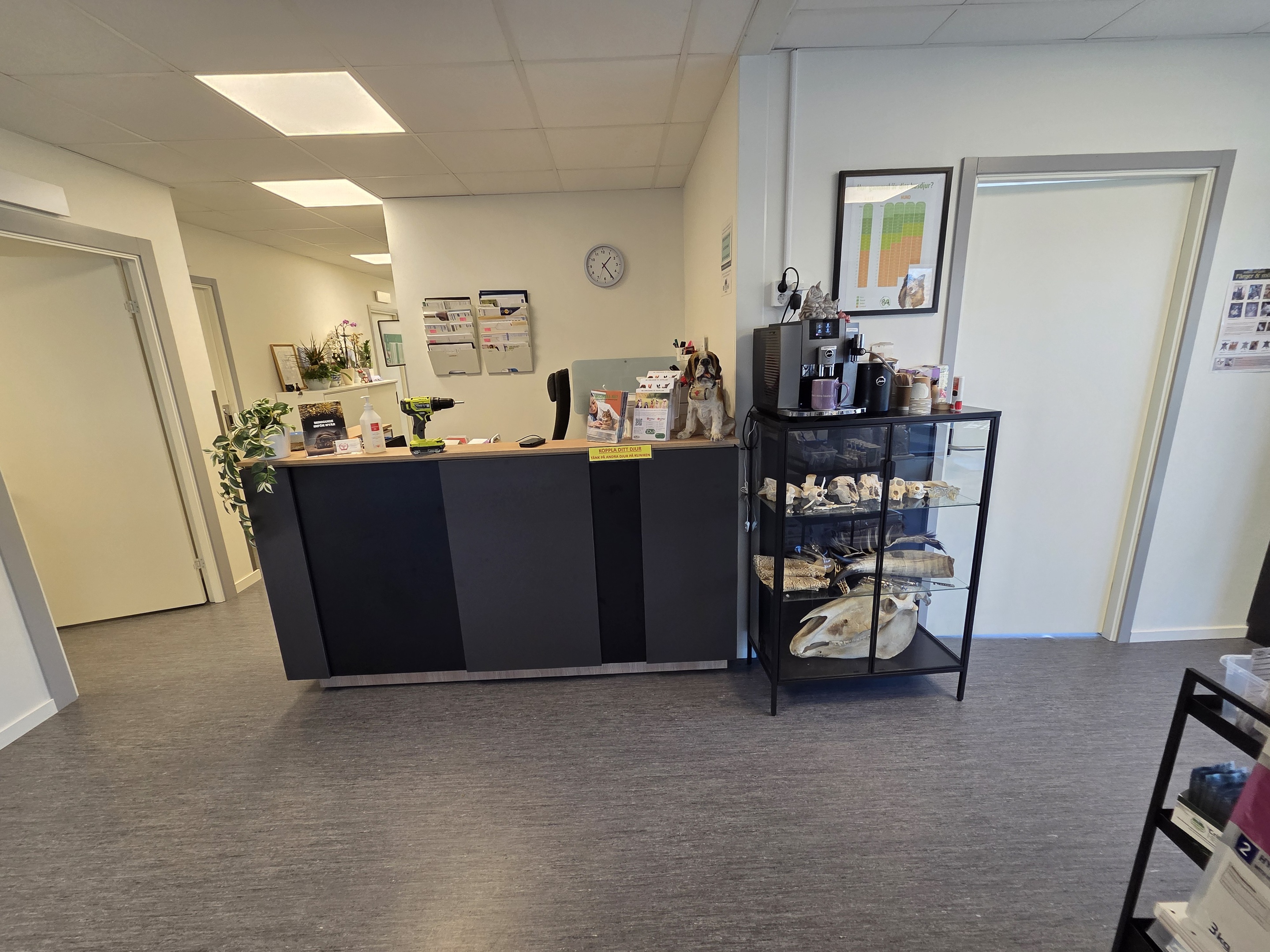 Nya lokalen ER VETERINÄR LINKÖPING