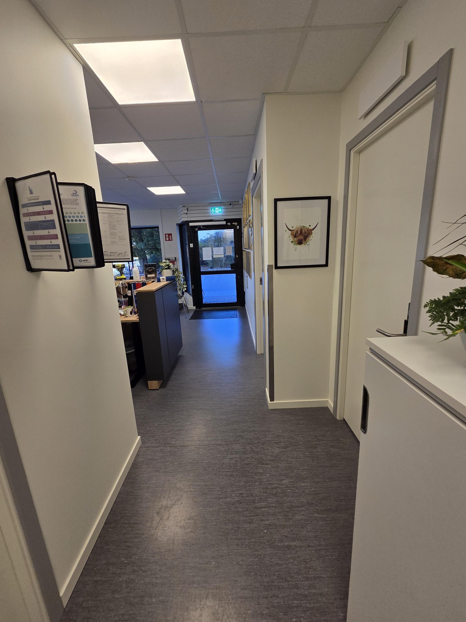 Badet vid slutet av vägen